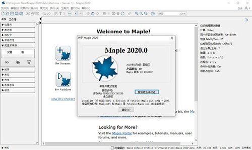 Maple 2020破解版