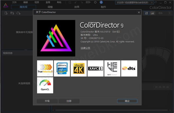 ColorDirector 9破解版