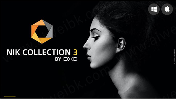 Nik Collection 3.3 by DxO中文破解版