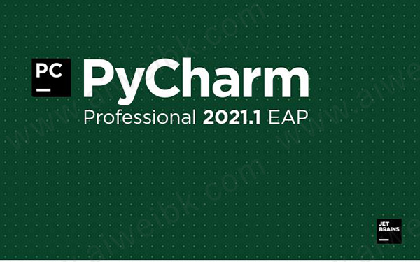 JetBrains PyCharm Pro v2021.1中文破解版