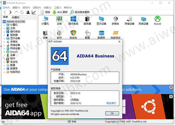 AIDA64 Business v6.33绿色破解版