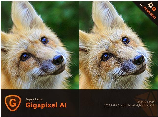 Topaz Gigapixel AI 5.5.0绿色汉化破解版