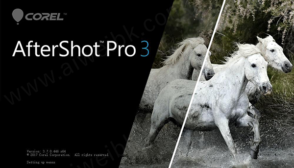 AfterShot Pro 3简体中文破解版